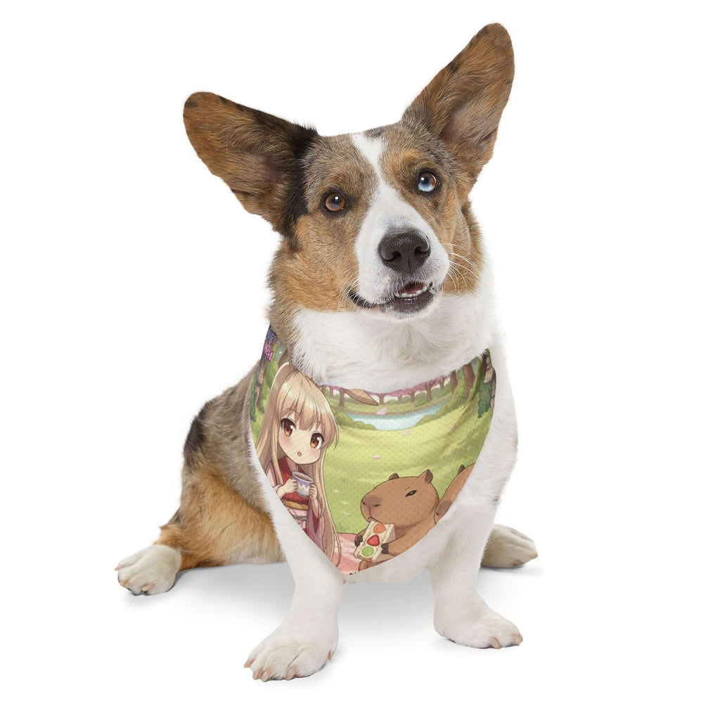 Collier bandana Chat & Chien Anime HARU sur un chien Corgi avec des personnages kawaii.