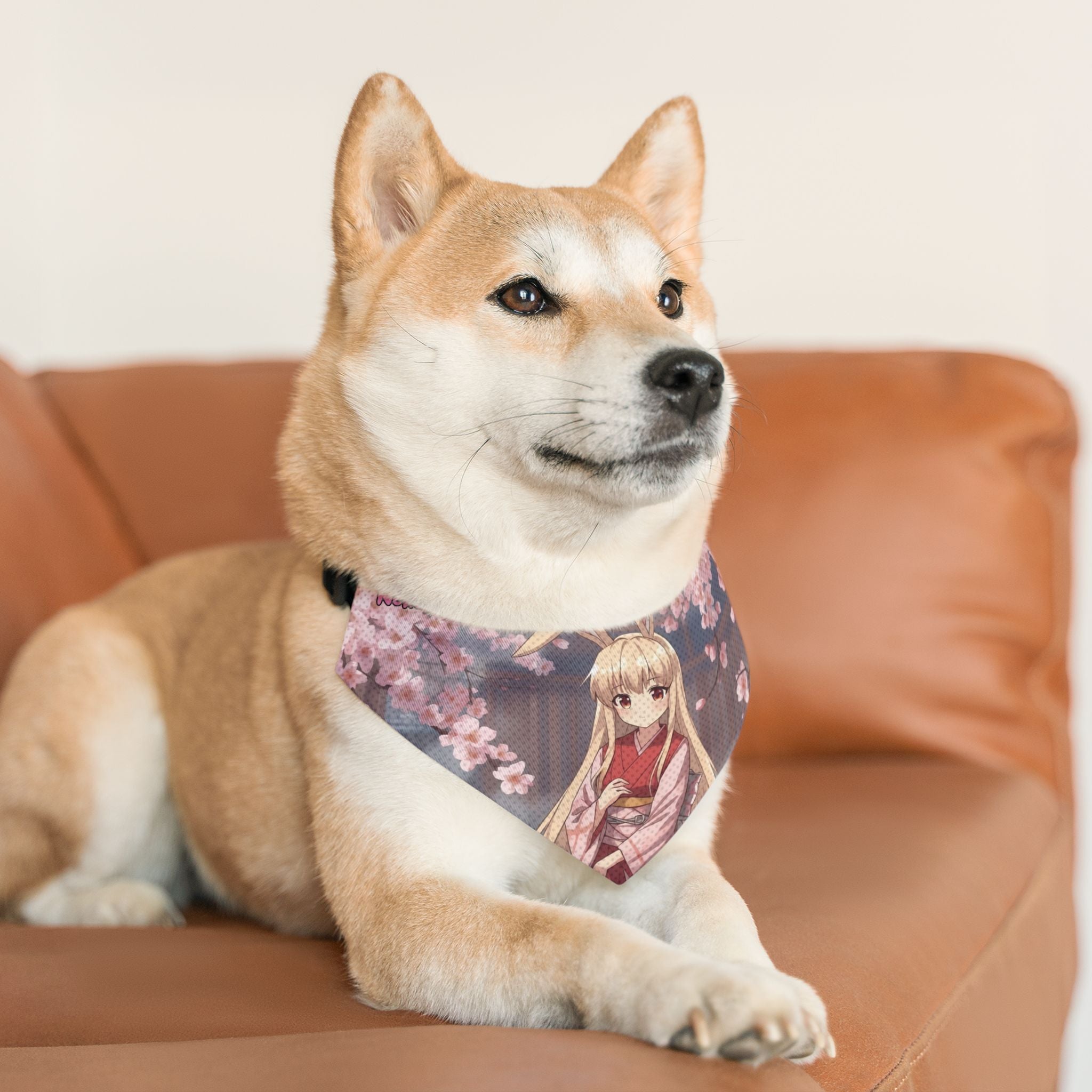 Collier bandana chat & chien Anime HARU Douceur Lapin & Style Kawaii sur un chien Shiba Inu, Kuro Neko Shop.